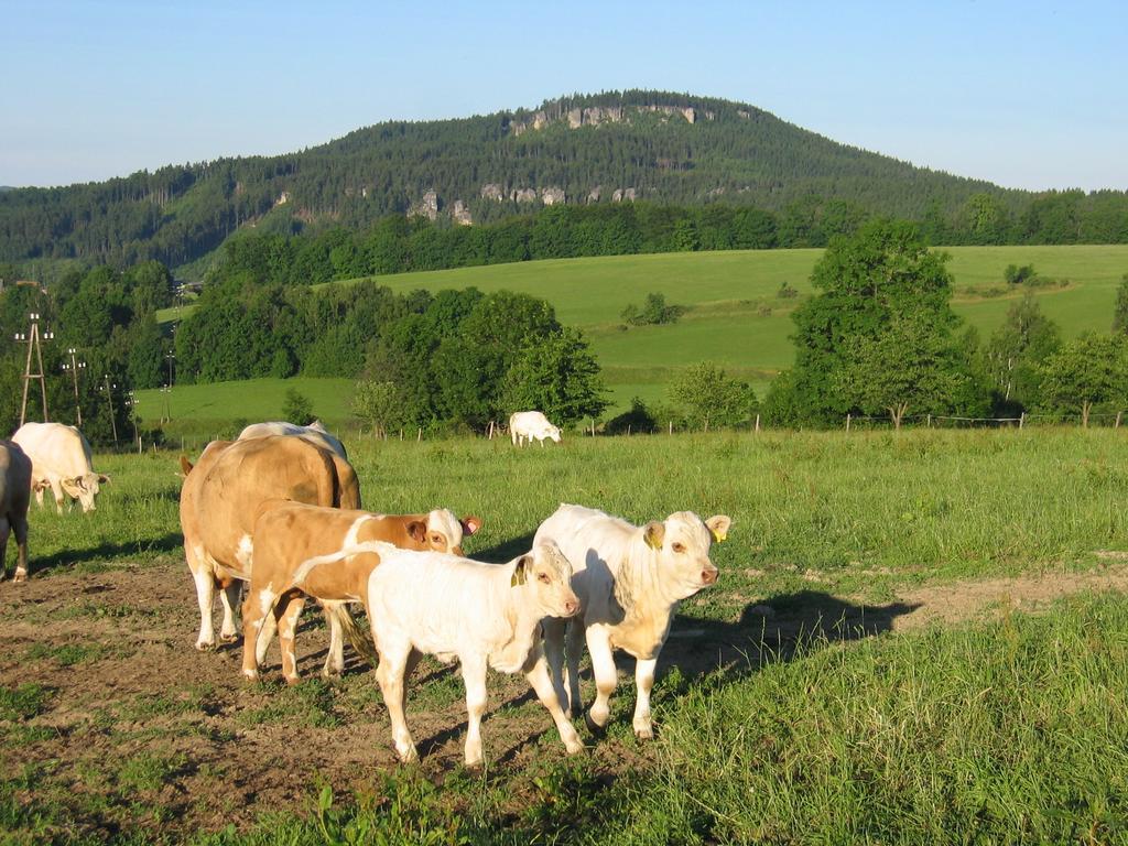 Selsky Dvur 1 Hotel Police nad Metují Buitenkant foto
